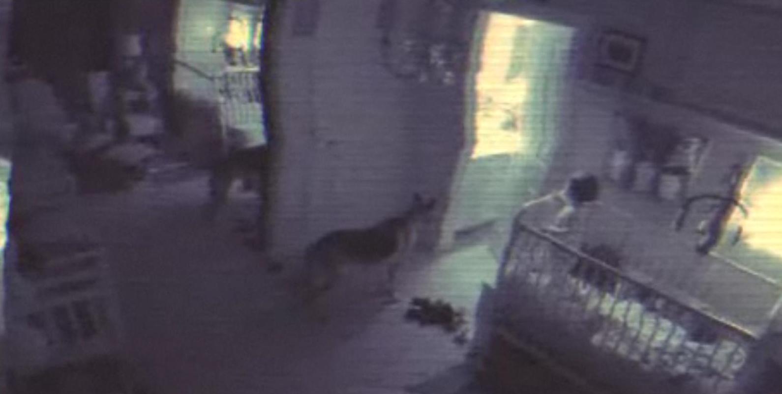 Paranormal Activity 4 Trailer Paranormal Activity 4 Movie