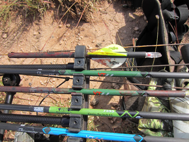 Unit+9+Arizona+Archery+Elk+Hunt+Colburn+and+Scott+Outfitters+Jeff+Hartland+10.JPG
