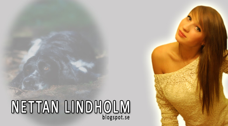 Nettan Lindholm