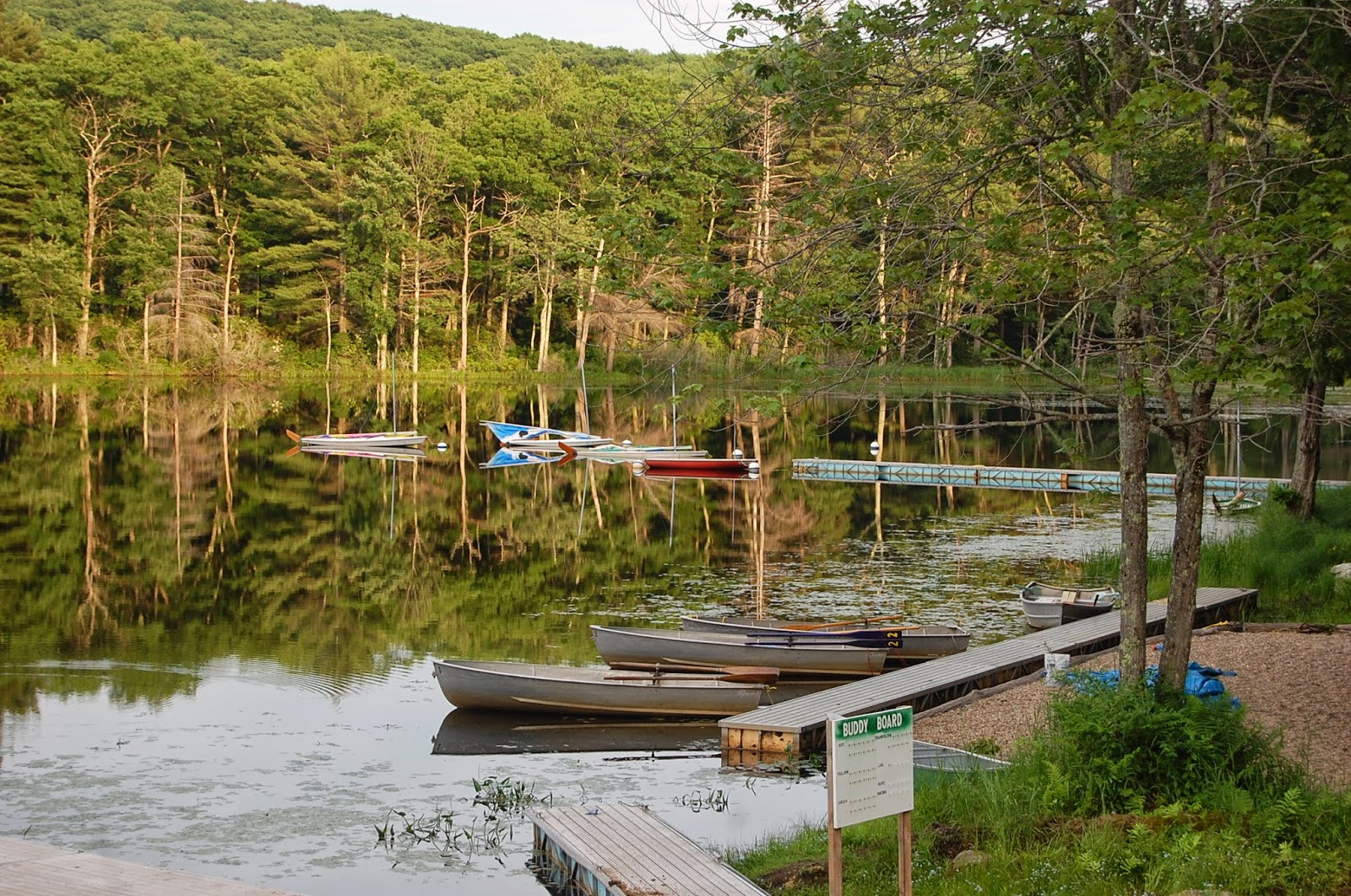 Camp Wa Wa Segowea June 2014