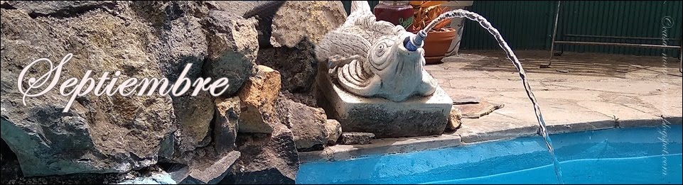 Alles rund um Teneriffa und Casa Nova