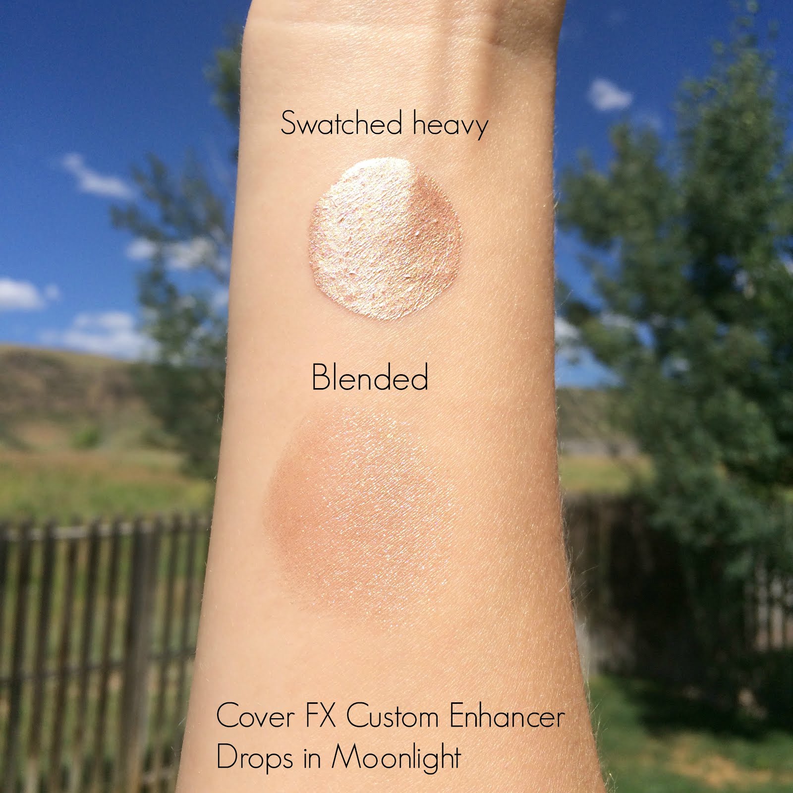 Beauty and the Mountains COVER FX Custom Enhancer Drops