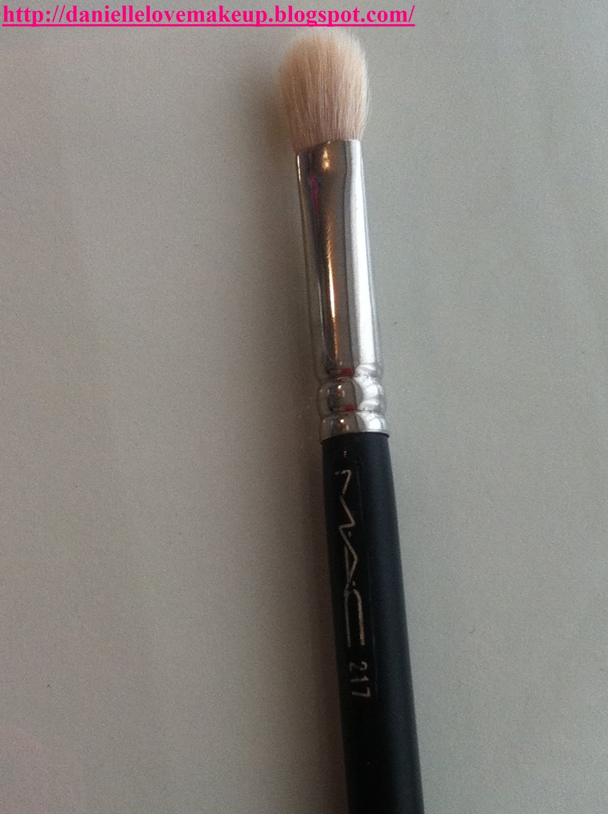 DanielleLoveMakeup My Top 5 MAC Brushes for Beginners.