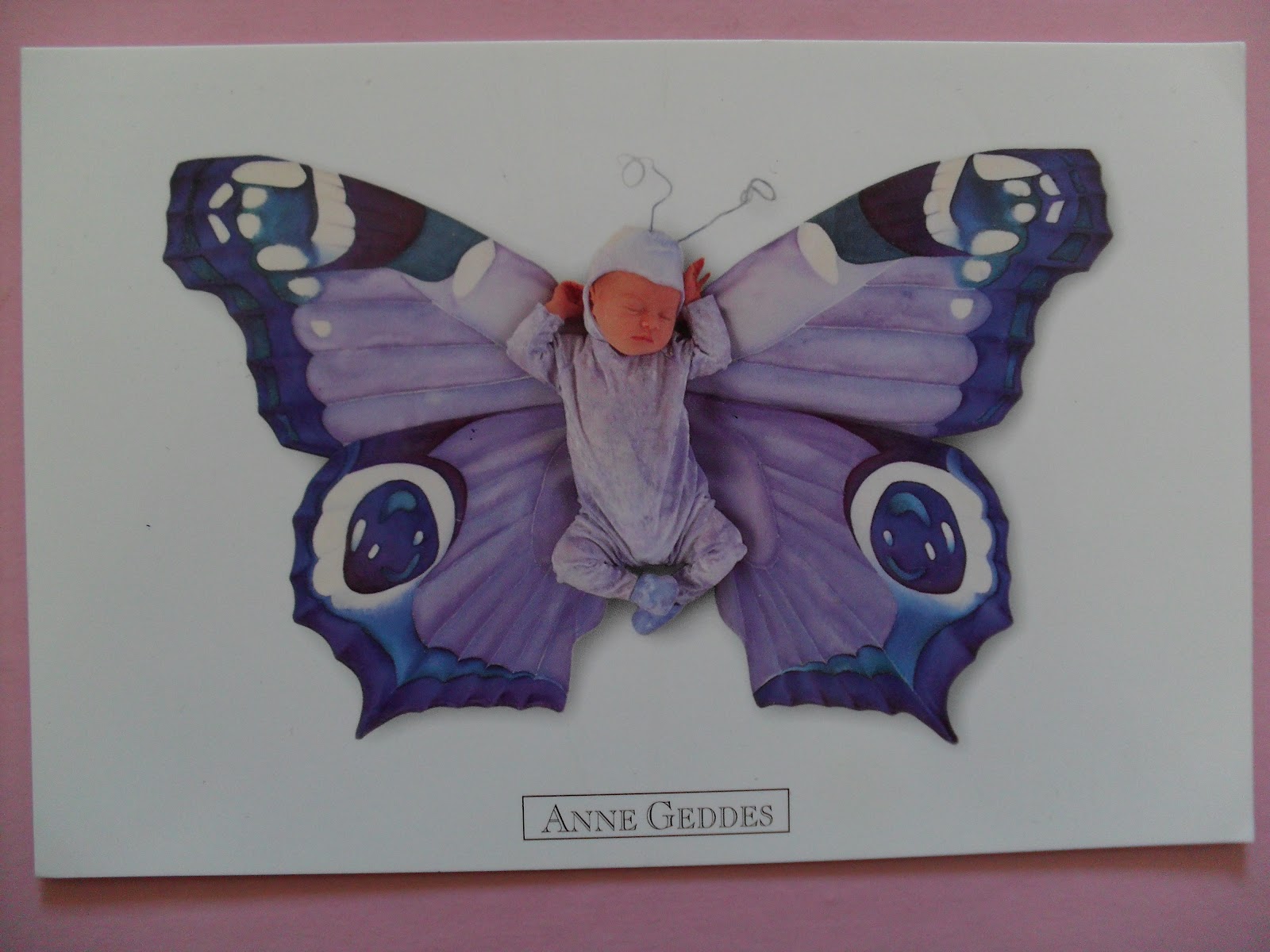 anne geddes butterfly babies