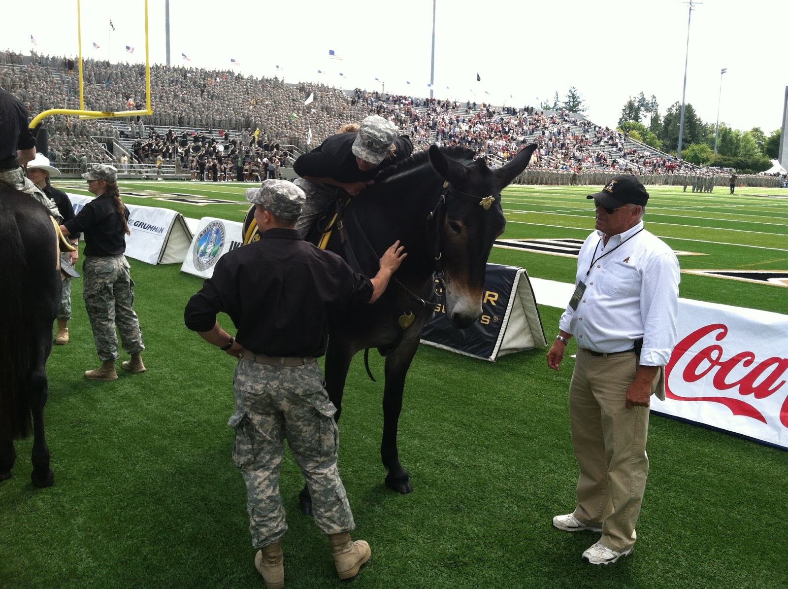 Horse Country Chic Army Mules, Again