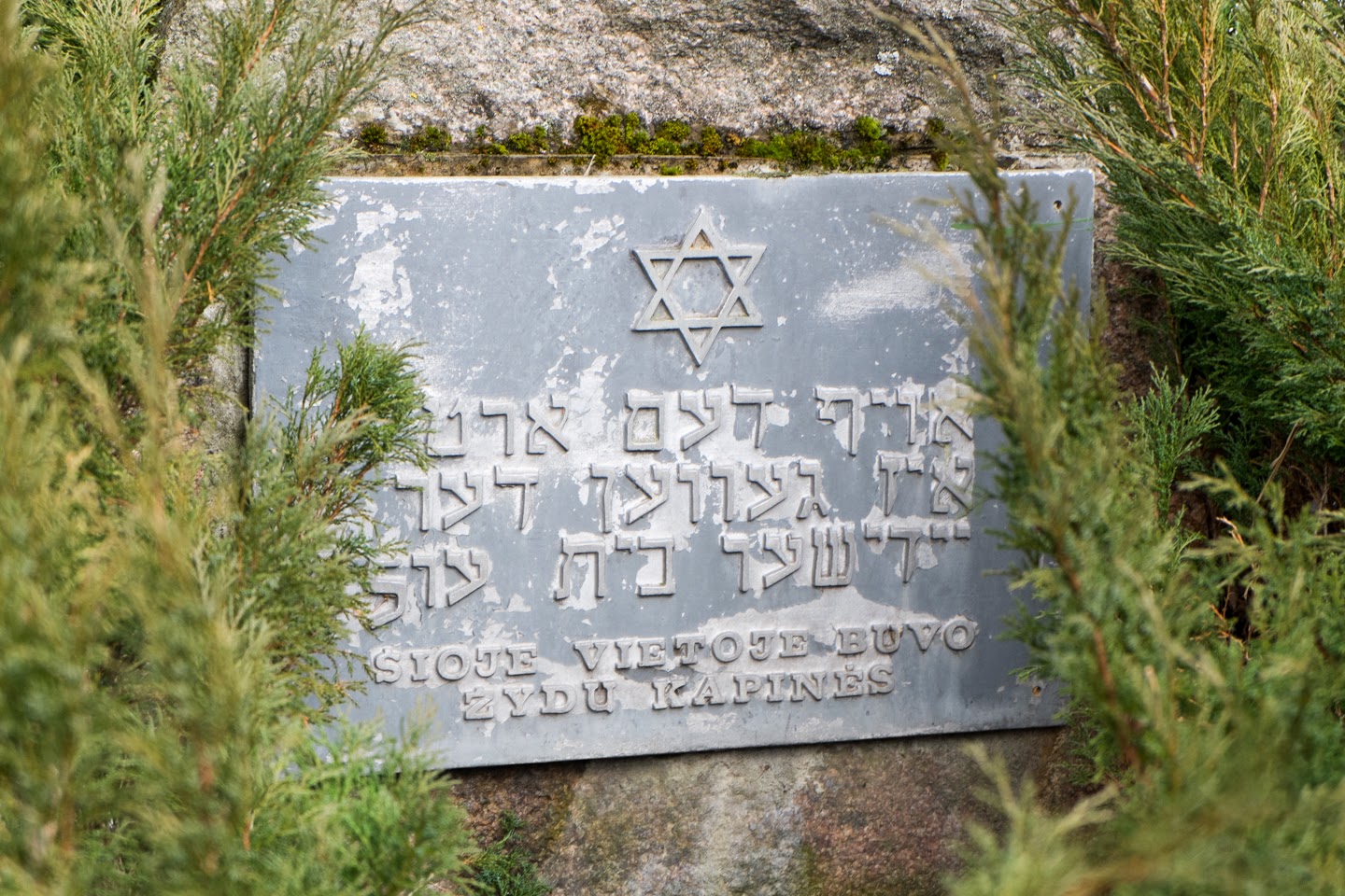 Hello Talalay The Jewish Mass Grave Sites At Eisikes, Lithuania