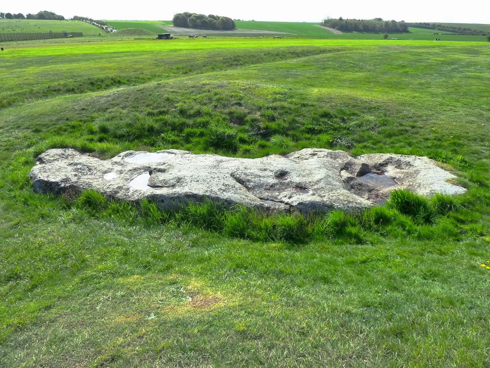 The Stones of Stonehenge Slaughter Stone (Stone 95)