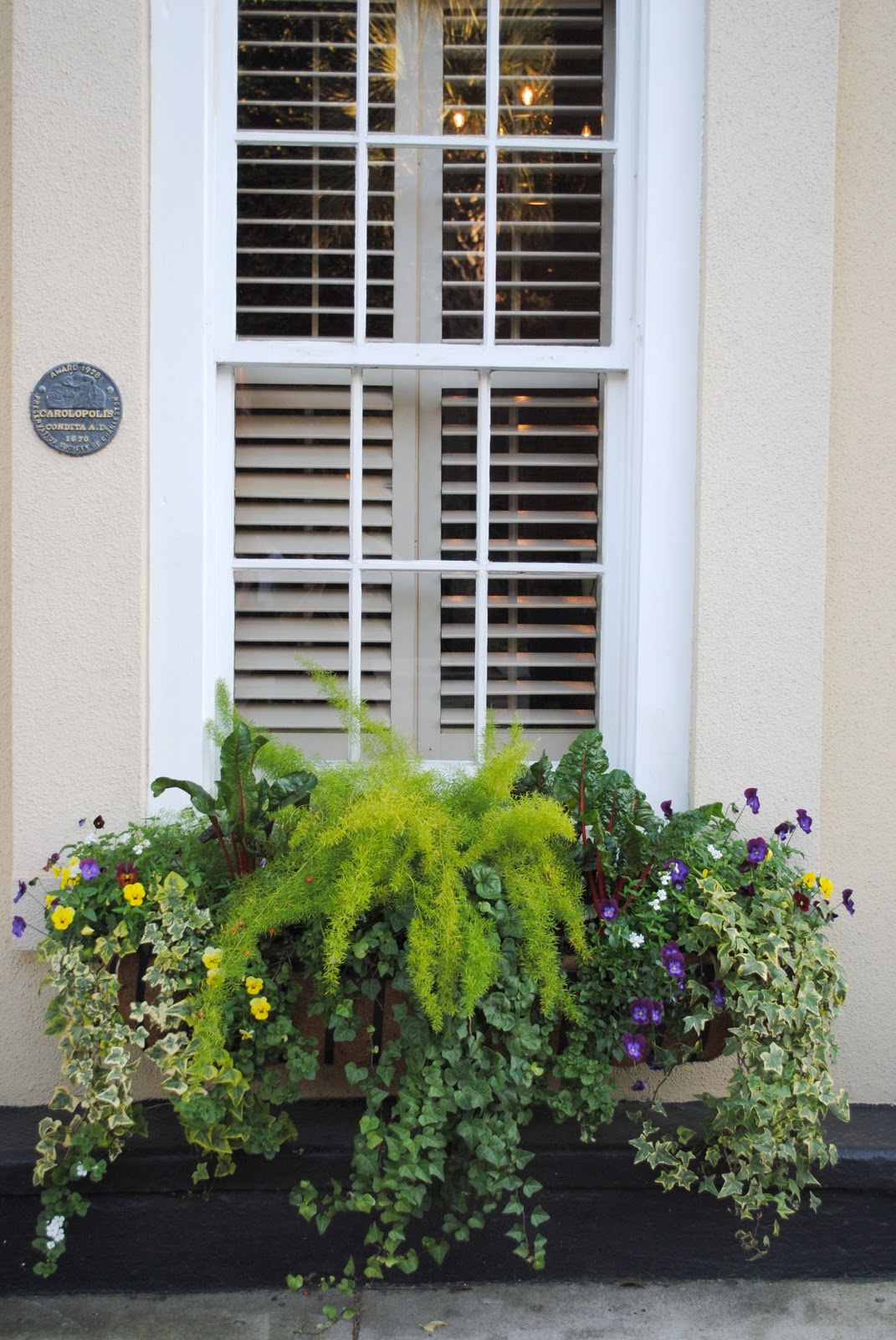 g and m Charleston Window Boxes