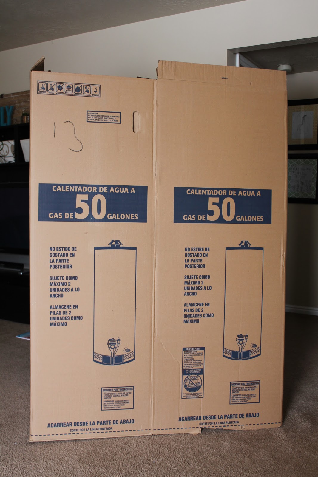 listfullyblissful DIY Photo Backdrop