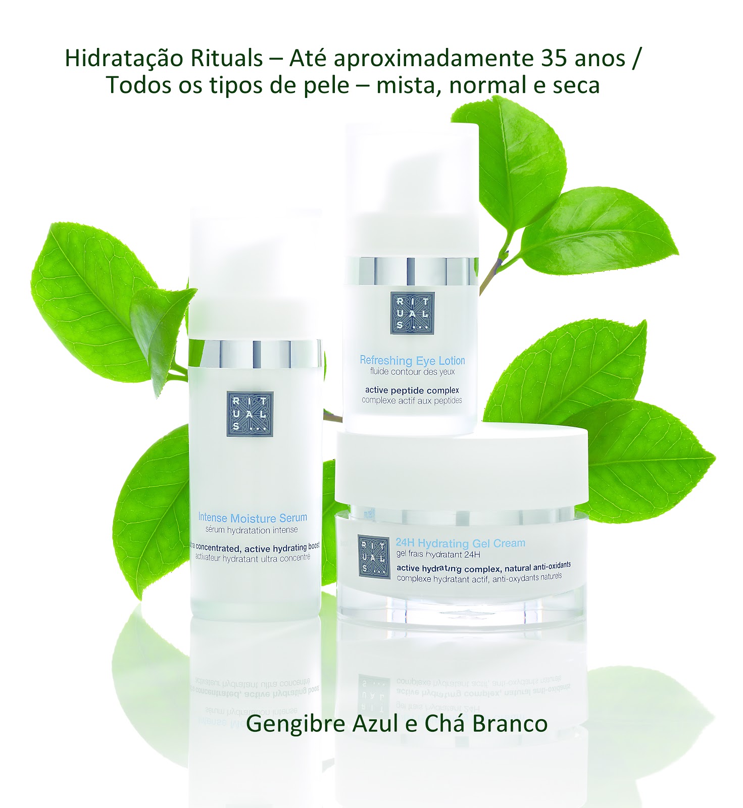 Rituals Apresenta Nova Linha Advanced Botanical Skin Care Teresa