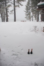 chill bottles of champagne in the snow