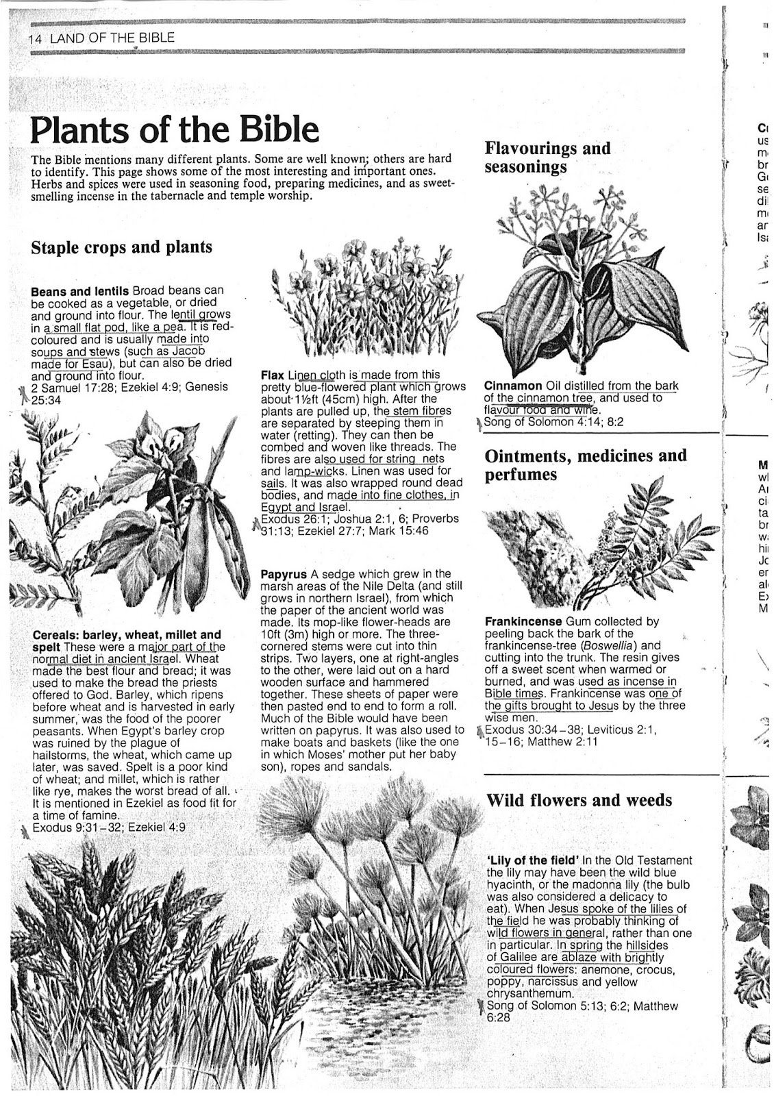 Edwin Khoo's Blog The Lost Prodigal. Luke 151124 through the eyes