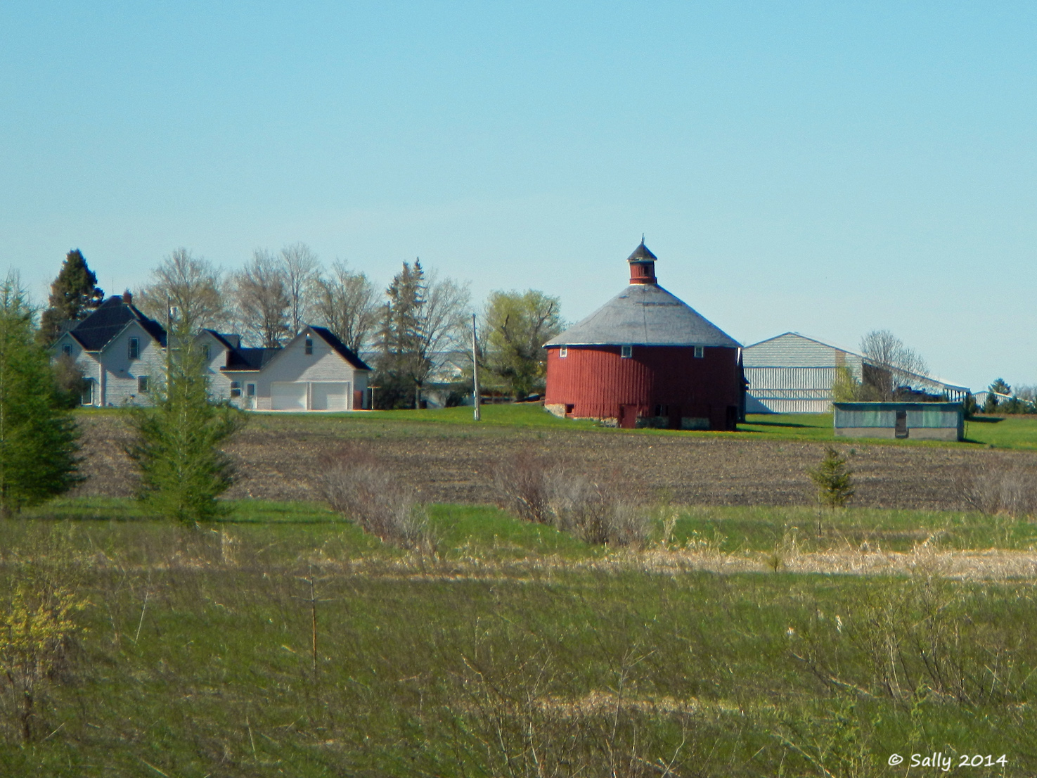 Sally Saw... Monday's Barn Bertha, Minnesota