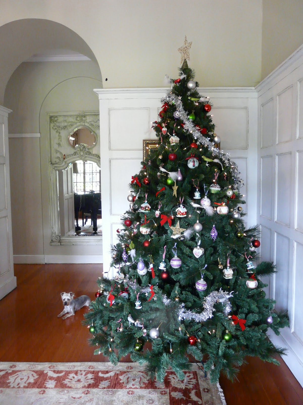 down in the meadow Christmas emerging