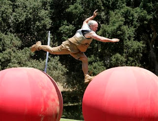 big balls are dangerous wikileaks resignation