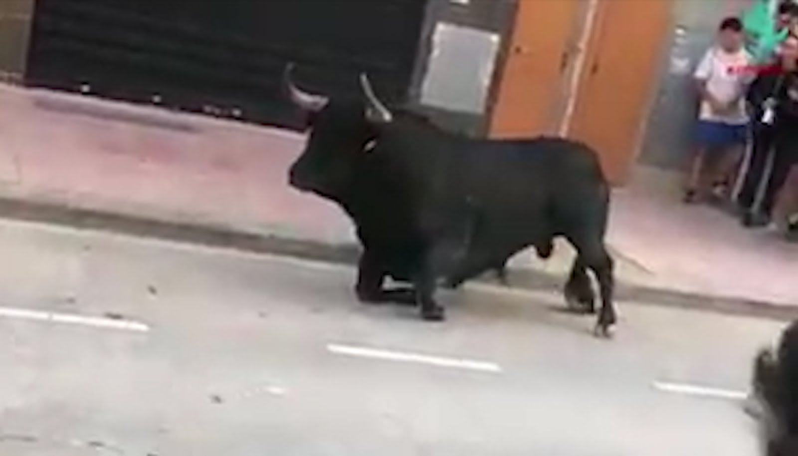 The Right Bull