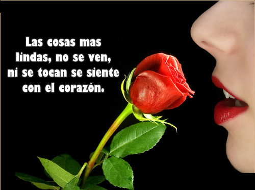 Ver las imágenes de origen