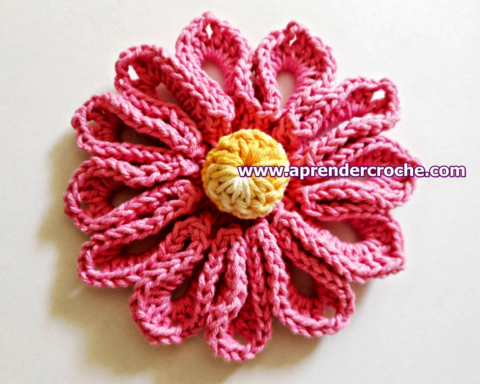 dvd em croche flores coleção aprender croche com edinir-croche na loja curso de croche com frete gratis