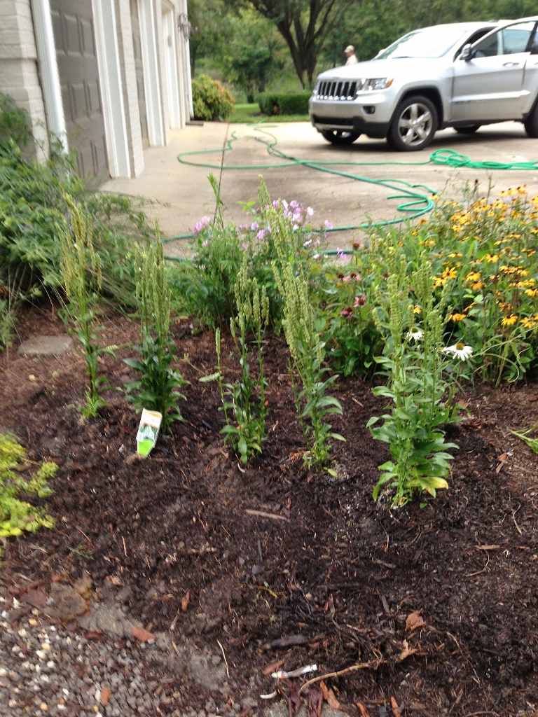 Rattlebridge Farm She�s Gone to Pot