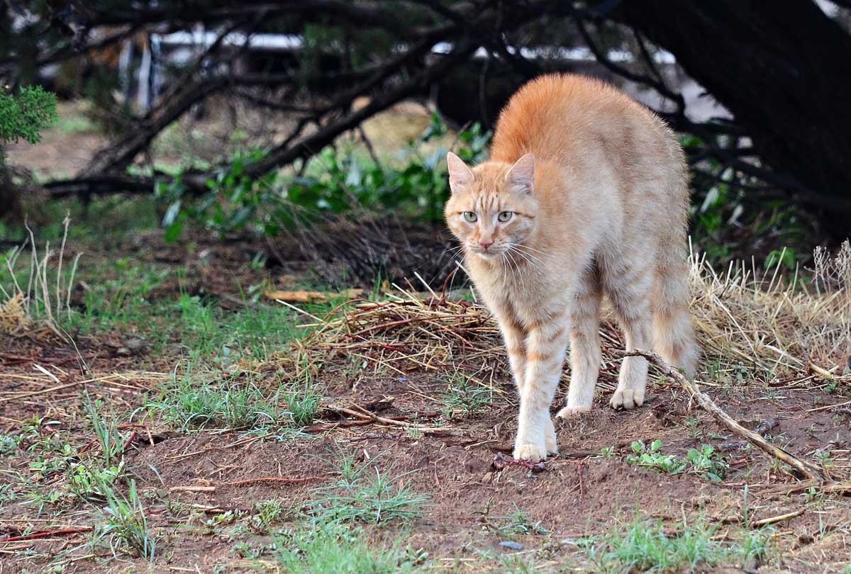 The 7MSN Ranch Smooch and Johnny get a little closer