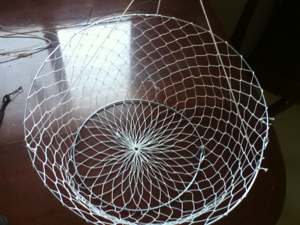 Surf Fishing for Beginners From Hoop Traps for Blue