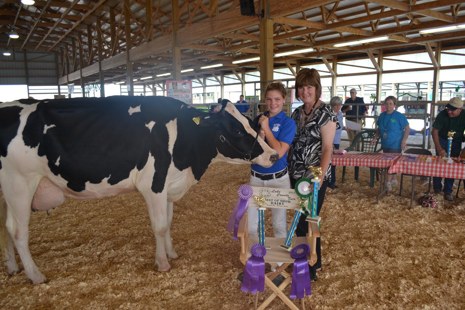 Wagner Feed Dairy project