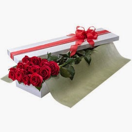 Red Rose Gifts In Australia Red Rose Gifts In Australia and price