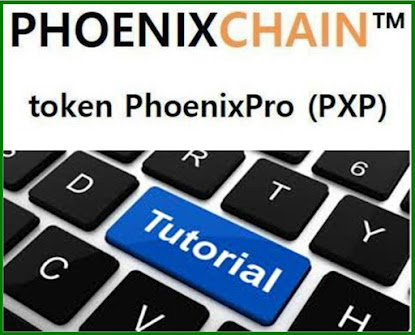 COME CREARE UN ACCOUNT SUL PORTALE PHOENIXCHAIN E COME SOTTOSCRIVERE I TOKEN PHOENIXPRO (PXP)