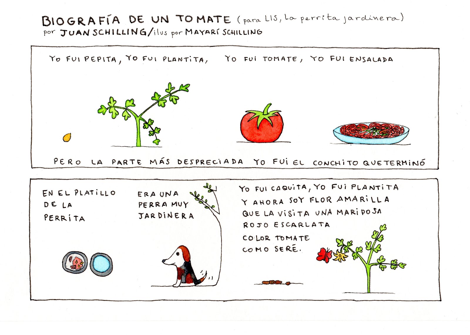 Biografía de un tomate