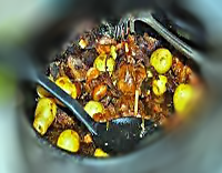 Clique para ver a receita Clique para ver a receita