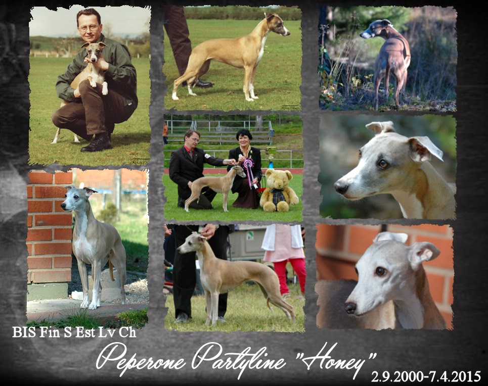 Whiptails Whippets Goodbye, dear Honey