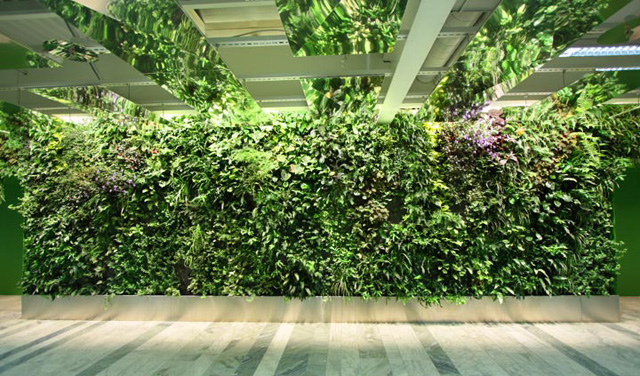 9 lindos jardins verticais de interior