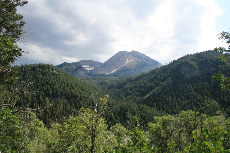 From the Studio Tuesday's Hike Pine Hollow Trail