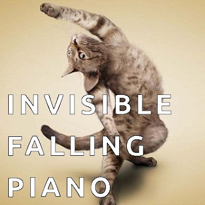 cat funny meme invisible falling piano