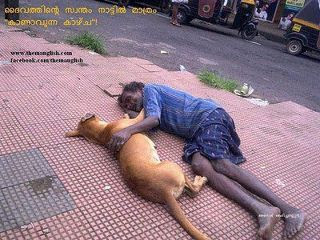 It Happens Only In India, funny indian pictures, FUN, funny pictures,