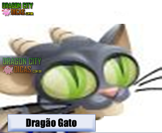 Dragão Gato Dragão Gato