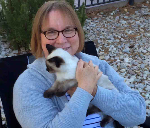 Cat Patches Elko, Nevada