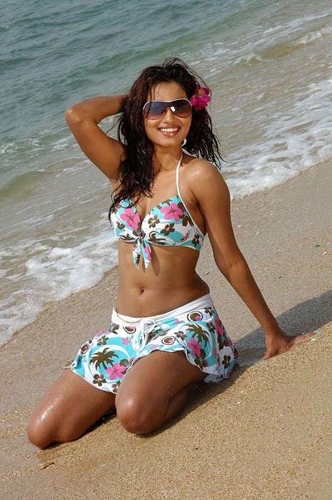 Dimple Chopra  - Dimple Chopra Beach Babe Bikini Pics