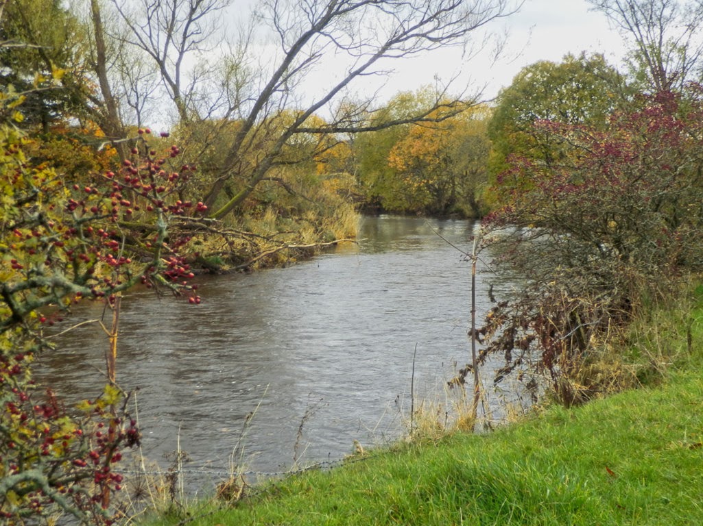 My Daily Walk Allan Water, Bridge of Allan