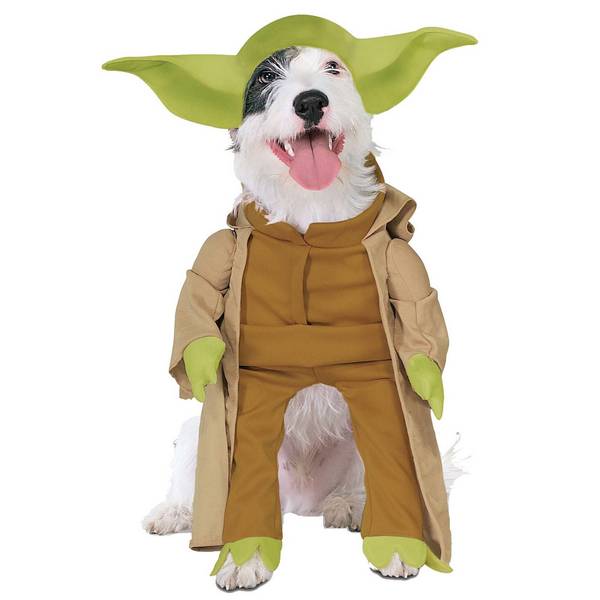صور كلاب مضحكة Most-funny-dog-costumes+(1)
