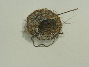 Hummingbird Nest at my etsy shop
