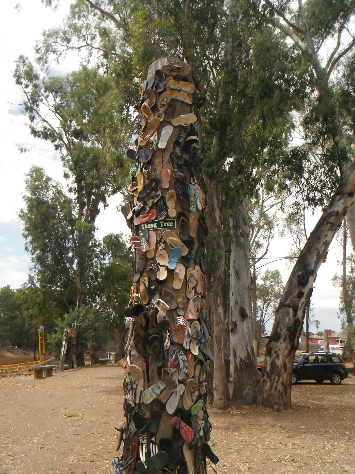 Echuca+&+Greens+001.JPG