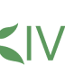 US-based micro-lending website Kiva enters India