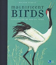 Magnificent Birds