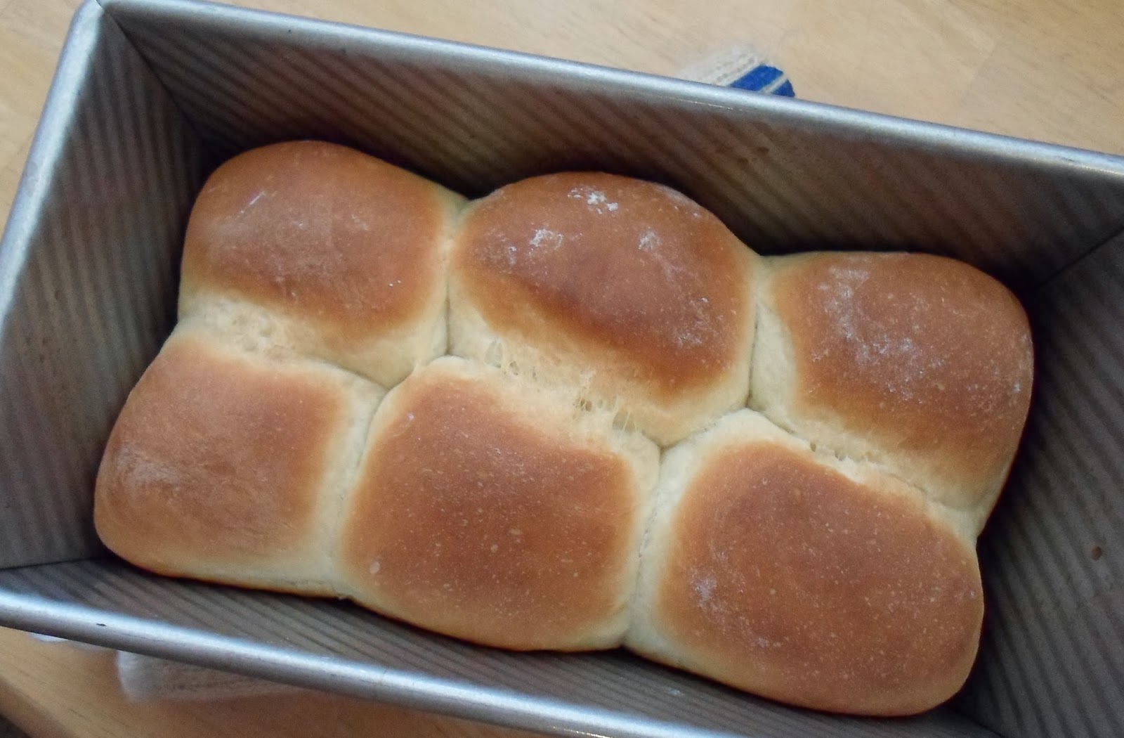 Happier Than A Pig In Mud Onion Poppy Seed Dinner RollsUsing Rapid