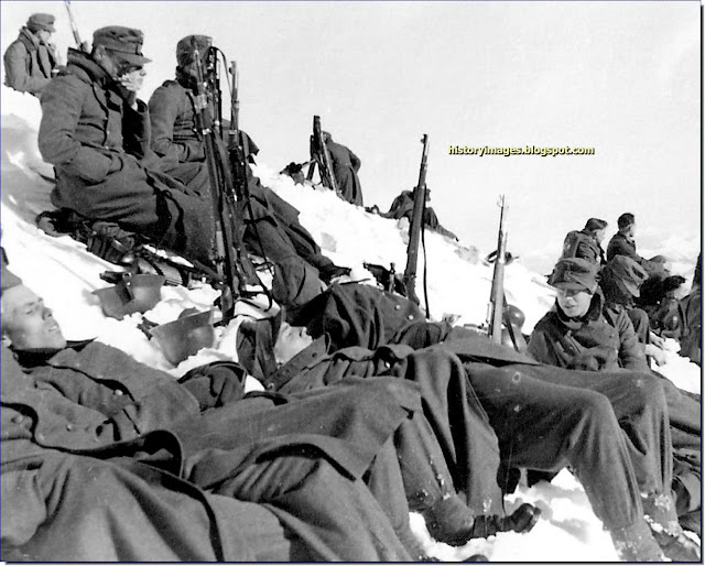 German mountain troops Caucasus mountains
