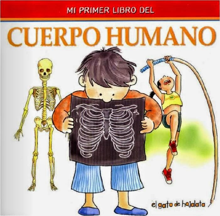 Cuerpo humano