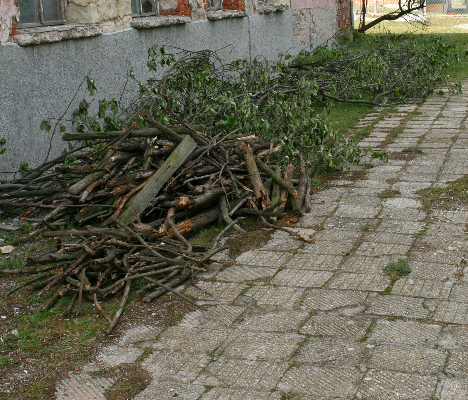 Wood moved safe from looters Wood moved safe from looters