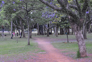 Parque Ibirapuera-SP