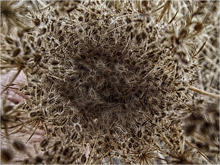 emphoka, photo of the day, Andres Ortega, Fujifilm FinePix S4000A emphoka, photo of the day, Andres Ortega, Fujifilm FinePix S4000A